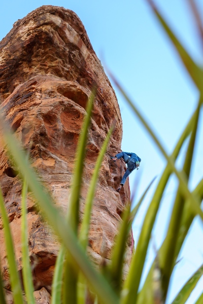 The artistic \"through the bushes shot.\"