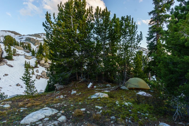 View of our camp.  We tucked in behind these pines to shelter from the oncoming rain when we arrived.
