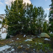 View of our camp.  We tucked in behind these pines to shelter from the oncoming rain when we arrived.