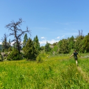 2019-07-07_38328