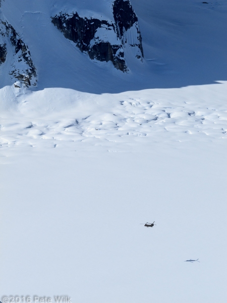 Low and slow flight over the glacier.  We are approximately 2,000 feet above them at this point.