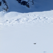 Low and slow flight over the glacier.  We are approximately 2,000 feet above them at this point.