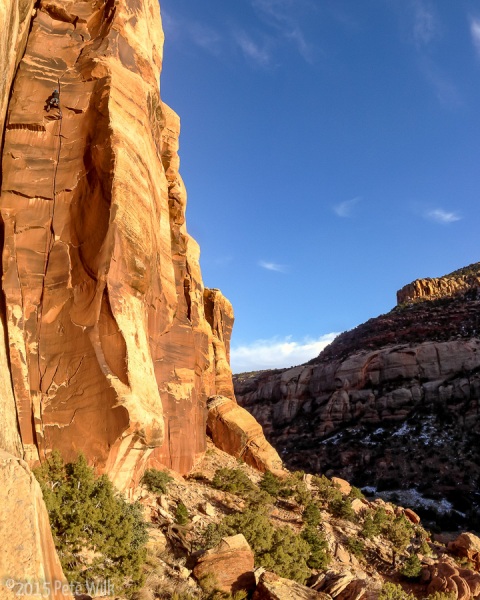 2015-11-25_26707-Pano