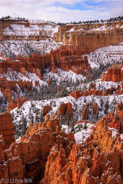 By the time we got over to Sunset point around 9:30 the snow had stopped and started peaking through.
