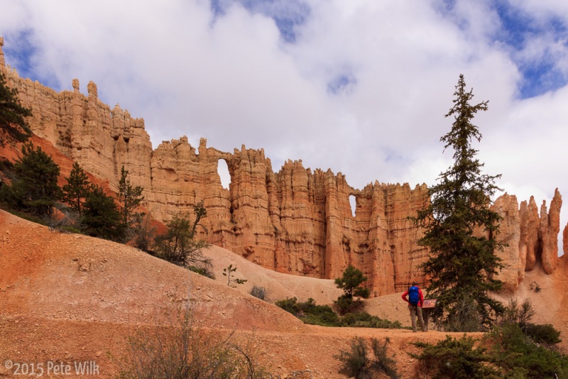 The wall of windows.