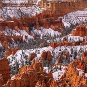 By the time we got over to Sunset point around 9:30 the snow had stopped and started peaking through.