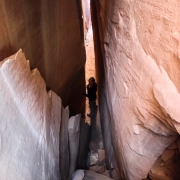 A really tight and interesting tunnel behind a massive pillar at Donnelly Canyon.