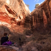 Carly and I hiked up Donnelly Canyon to the end of a small branch.  This natural ampitheather was really peaceful.  I was hoping we'd spot some pre-historic art, but no luck.