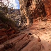 The lines, colors, and shapes in the desert never fail to please.