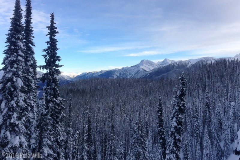 Glades for days at Revy.