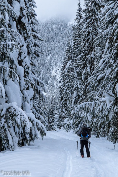 On the \"brutal\" (casual) 30 minute skin on an abandoned railroad bed to the Wheeler Cabin.