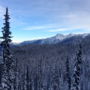 Glades for days at Revy.