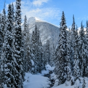 Looking up towards the Glacier Crest.