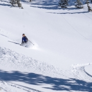 Fresh turns out of East Bowl Pass.