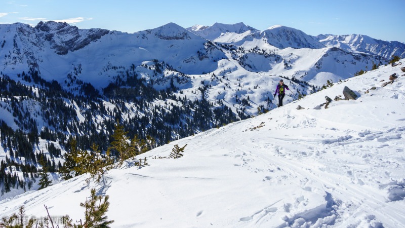 Nearing the top of Mt. Wolverine.