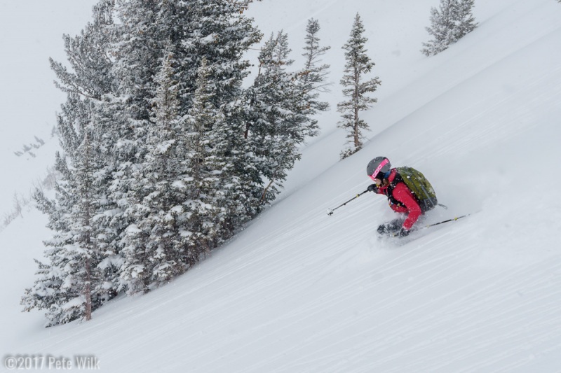 Carly enjoying 12-18\" of the fresh stuff in early April.