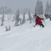 Carly enjoying 12-18\" of the fresh stuff in early April.