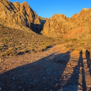 Long shadows at sunrise.