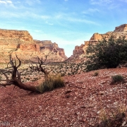 Looking down Buckhorn Wash.