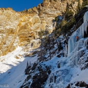 Not a whole lot of ice, especially for a two hour hike, but it was worth it for the first ice of the season.