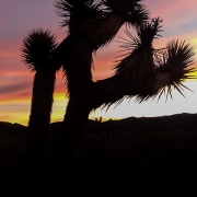 Sunrise in our secluded camping area near Red Rocks.