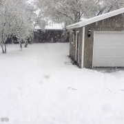 2015-04-15_25278