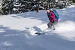 Not tons of snow from the storm, only 5-6", but it skied well in the trees.