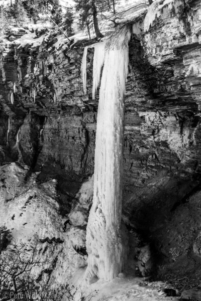 She's a great looking line.