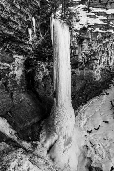 Definitely nothing like this in the East.