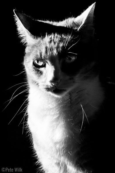 Harsh light, harsh judgement.