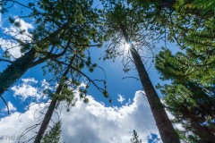 Beautiful day in the Uintas.