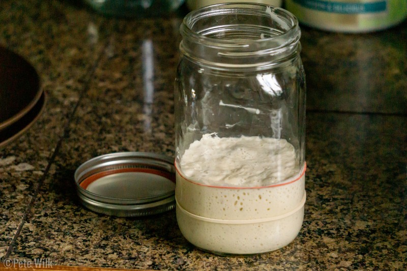 My sourdough starter after it got to the point where it would double 10-12 hours after feeding.