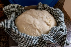 First loaf of the sourdough during the second rise or shaping step.