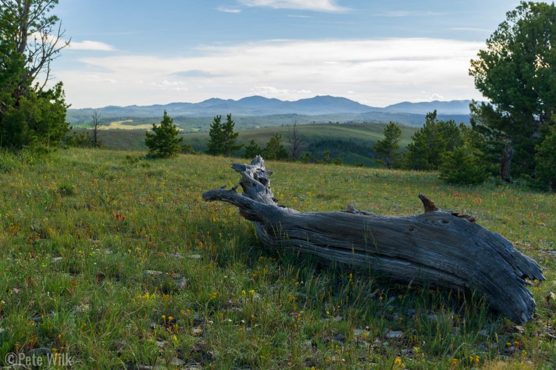 While at 8900' this is but a foothill to the Wind River Mountains to the west.