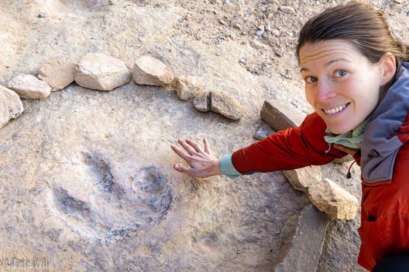 Carly checking out a preserved dinosaur track.  Super cool to see this out in nature rather than a museum.