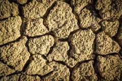 The desert is such a place of texture constrasts.  The weather can vary from dry and hot to dry and cold or wet.  This patch of ground is a reminder that at times there is a lot of water in the desert.