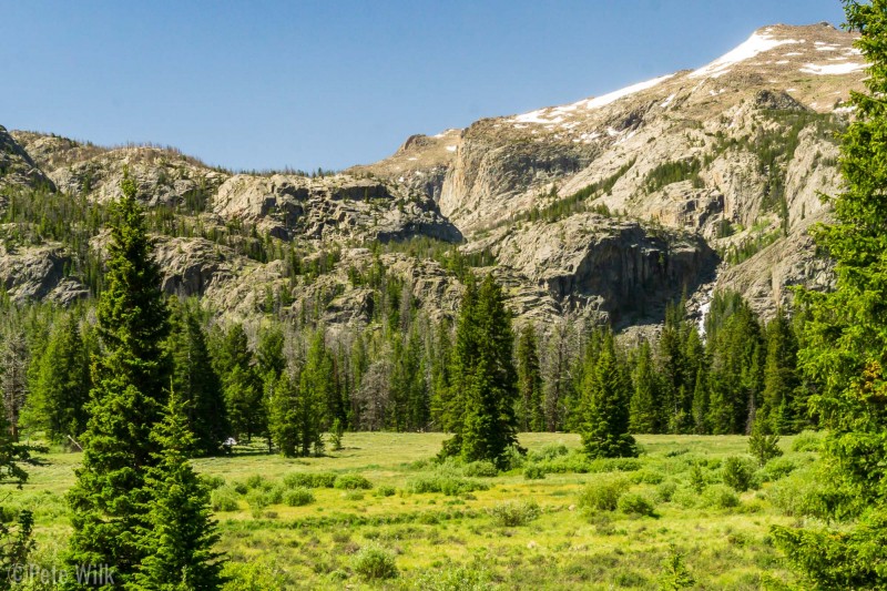 This meadow is where the well marked Glacier Trail heads left up the slopes and our trail continued through the meadow and marsh into the woods and around the rock mound to the left of the waterfall.