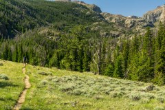 Crossing a meadow deeper into the wilderness.