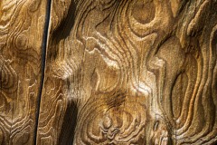 Some of the burned trees had amazing textures and shapes to them.