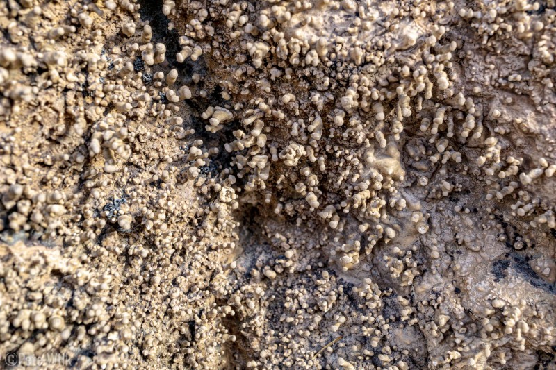 Interesting formations on the rock just outside the cave proper.  They are some kind of mineral either leaching out or depositing on the rock.