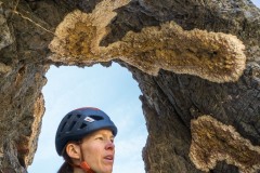 At the anchors at the eye.  The eye is comprised of a mineral deposit in the limestone which has eroded away.