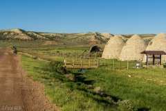 The charcoal kilns.  These are about 30' high.  They were packed with 30 cords of wood and took about 10-14 days to process the wood into charcoal until it was cool enough to unpack.