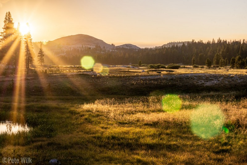 Our 15 minutes in Yosemite.  Apparently you need a reservation just to drive into Tuolmne and Yosemite.  Who knew and for Christ's sake, WHY?  Since it was a weeknight and the gate was unmanned, we drove through anywhy to check out the sunset.