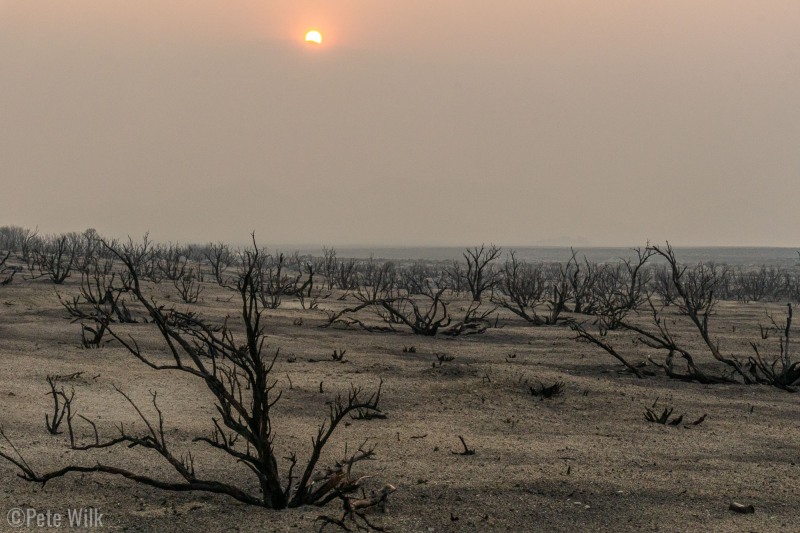 Post apocalyptic landscape if I've ever seen one.  New smoke in the area along with a recent fire.