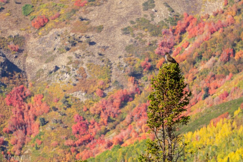 2021-10-01_43973