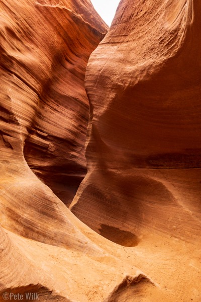 A sense of scale is nearly impossible in a slot canyon.