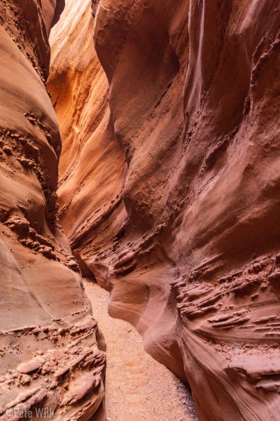 The really cool textures and shapes in Spooky Slot Canyon.