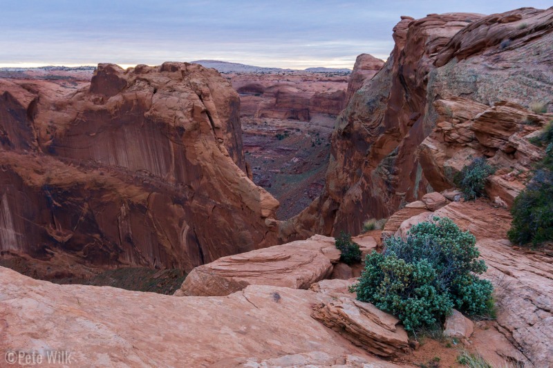 View from Crack-in-the-Rock which is the access down to Coyote Gulch.