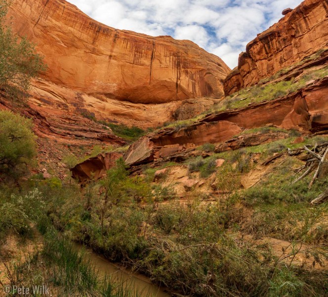 One of the things that makes this hike so spectacular is the contrasts between the rock and the greenery.