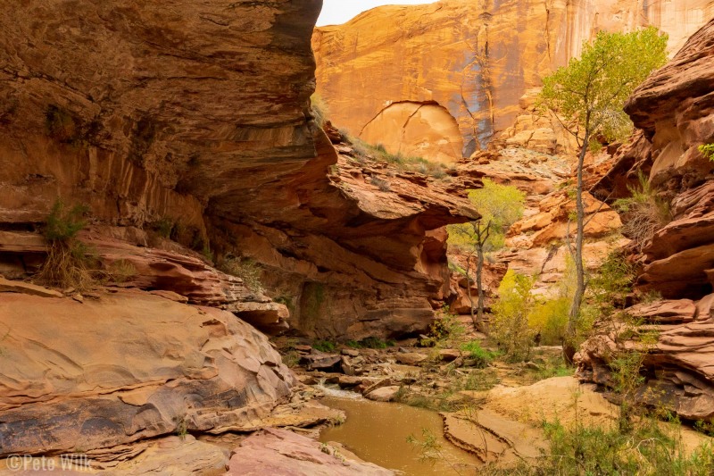 Arches, roofs, and mini waterfalls galore here.